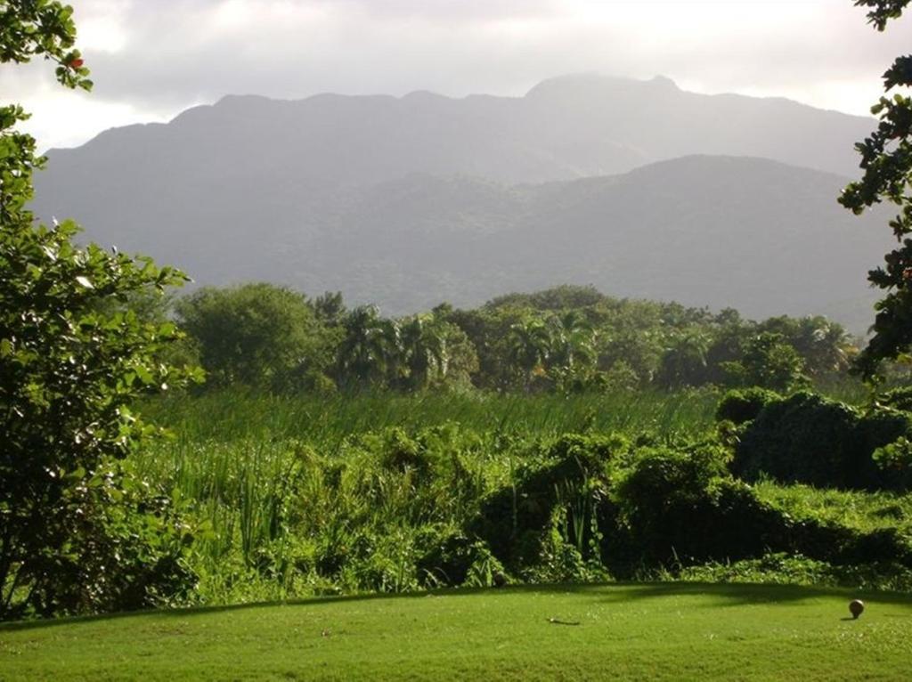 Rio Mar Village - Golf Course View Rio Grande Bagian luar foto